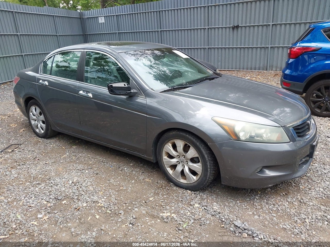 5KBCP3F8XAB****** · 2010 HONDA ACCORD 3.5 EX-L