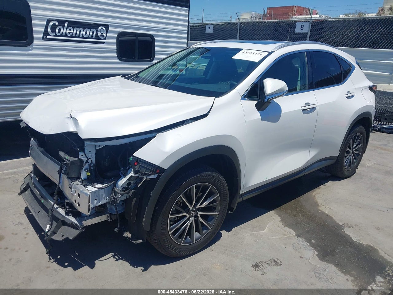 2025 LEXUS NX 250   · 2/11