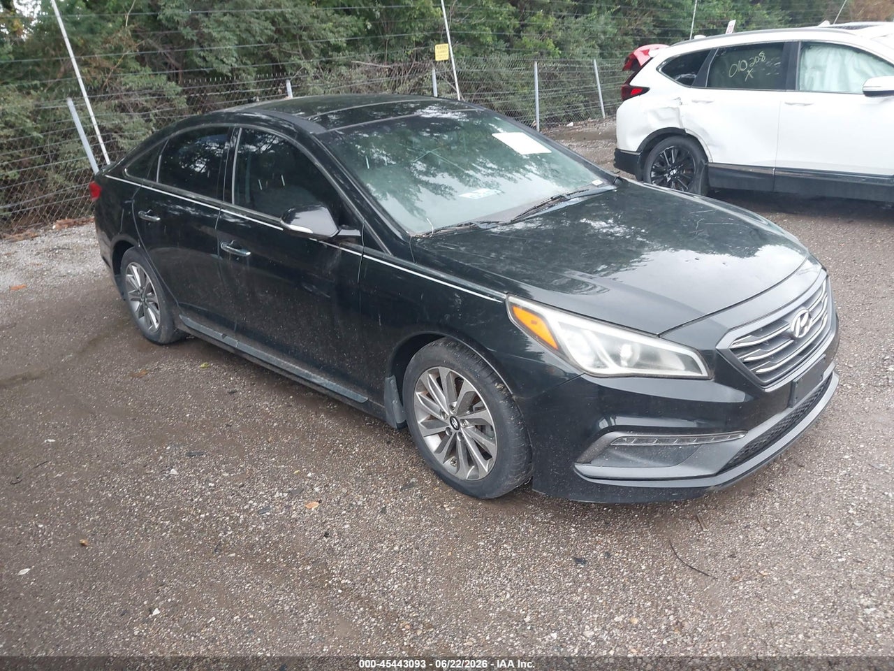 5NPE34AF7GH****** · 2016 HYUNDAI SONATA LIMITED