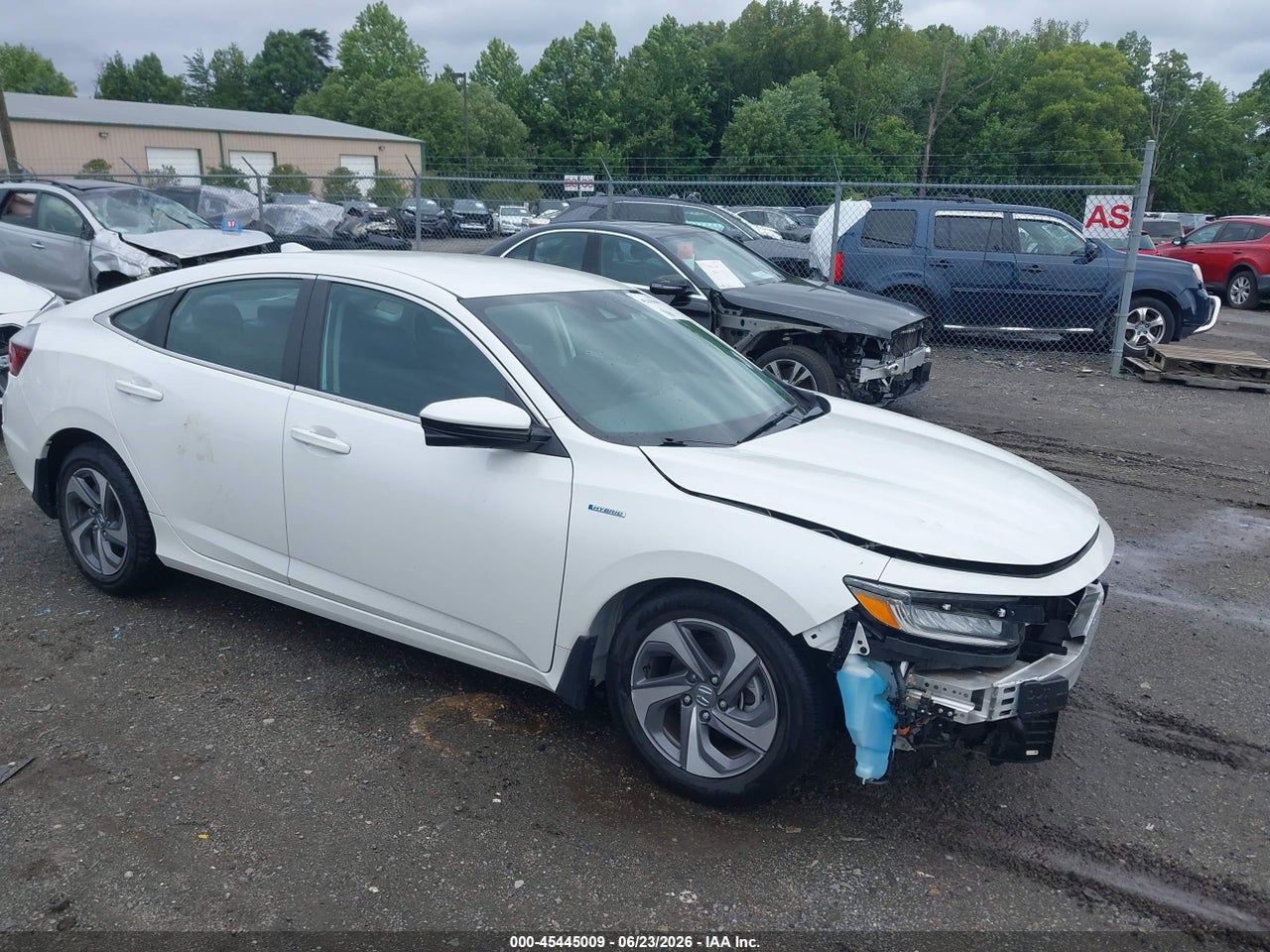 19XZE4F50KE****** · 2019 HONDA INSIGHT EX