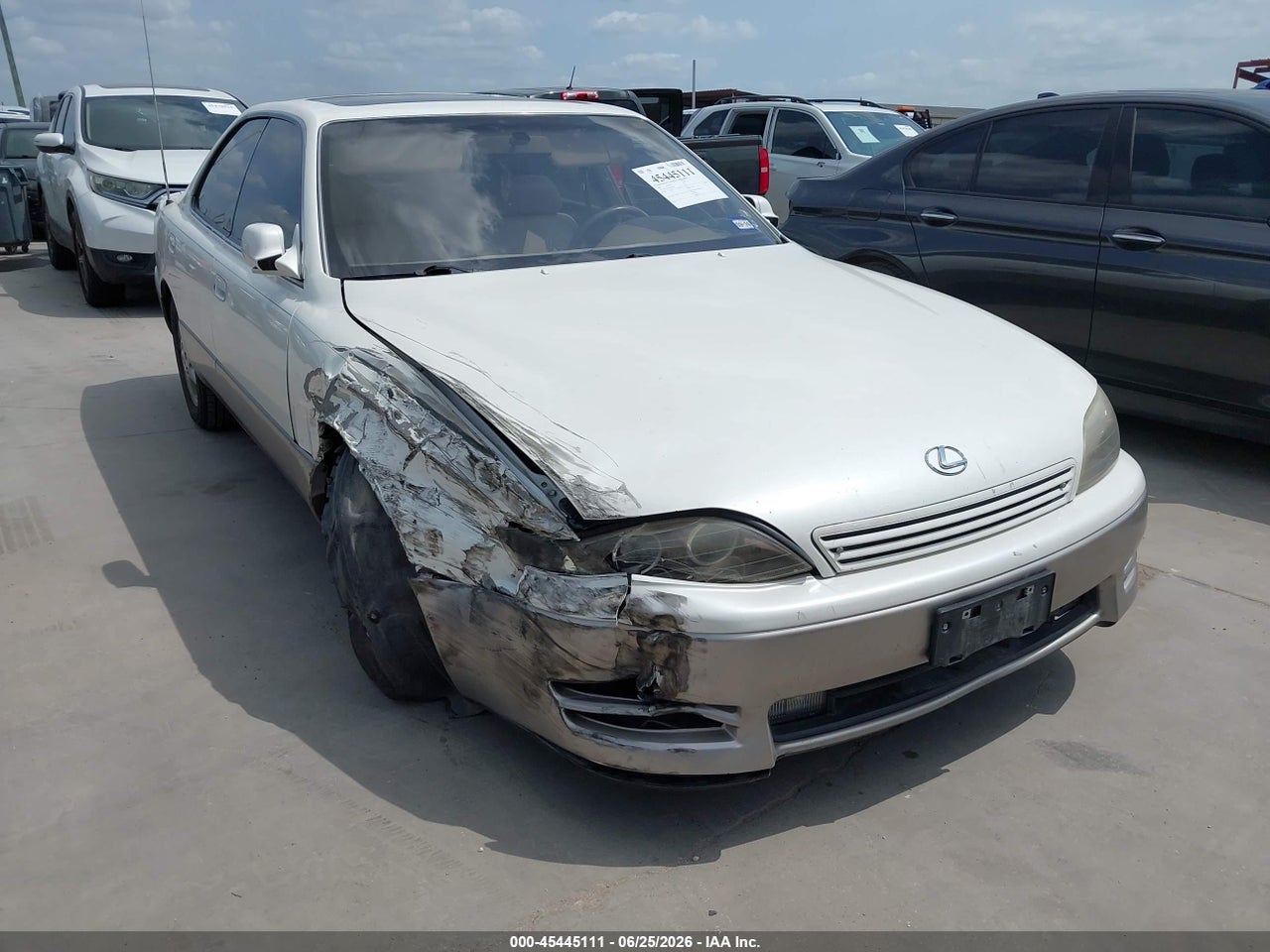 JT8BF12G8T0****** · 1996 LEXUS ES 300
