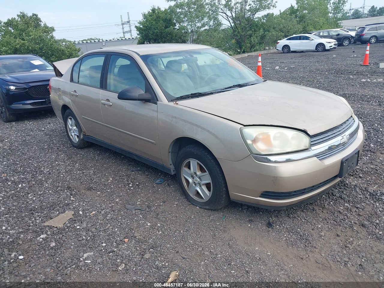 1G1ZT54825F****** · 2005 CHEVROLET MALIBU LS
