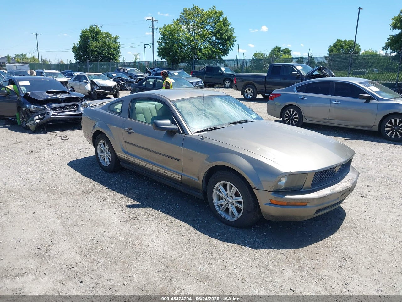 1ZVFT80N955****** · 2005 FORD MUSTANG V6 DELUXE/V6 PREMIUM
