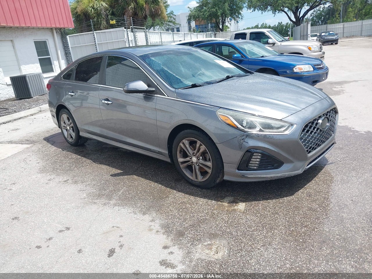 5NPE34AF6KH****** · 2019 HYUNDAI SONATA SEL