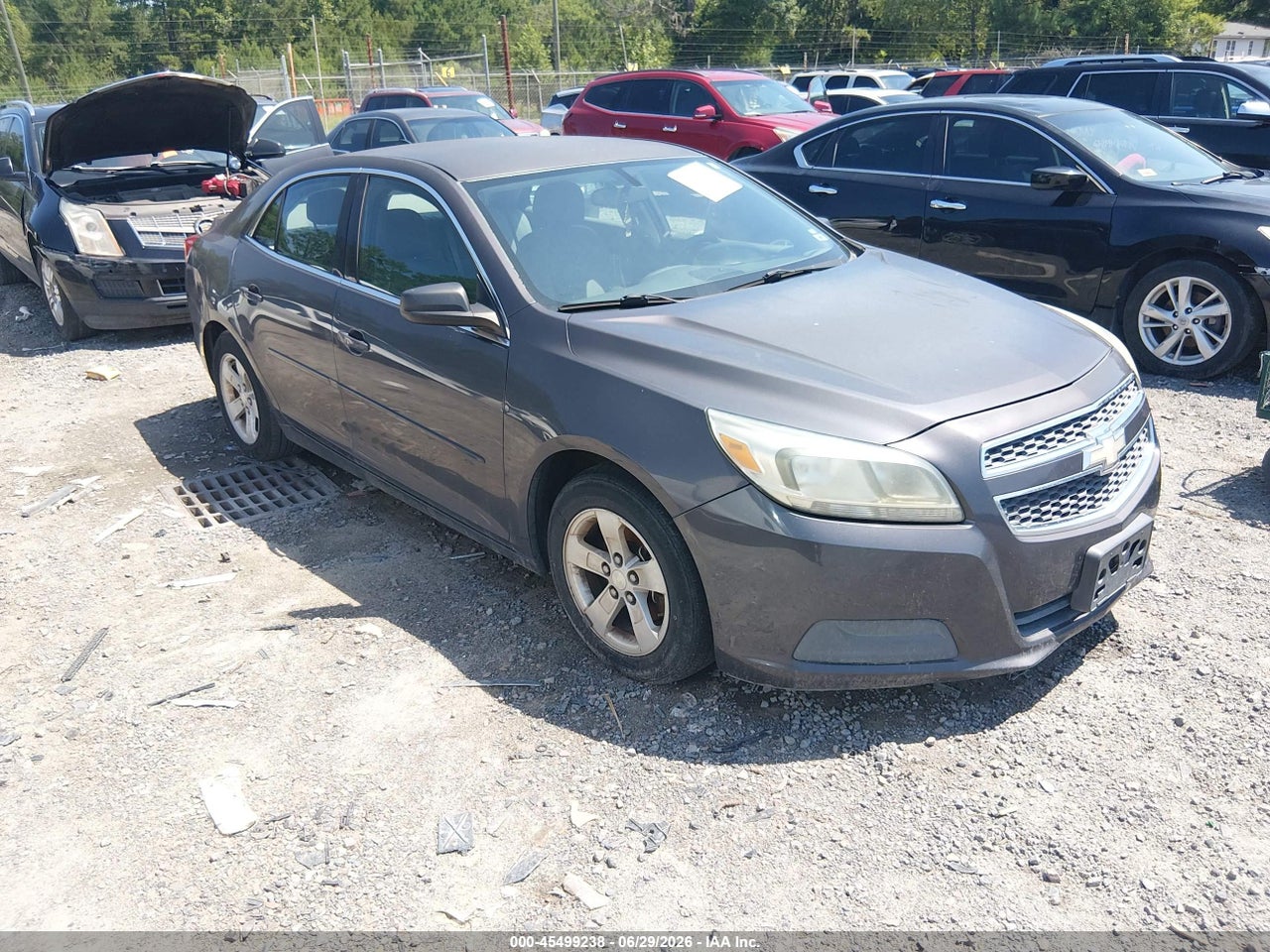 1G11B5SAXDF****** · 2013 CHEVROLET MALIBU 1LS