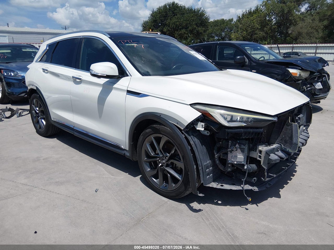 3PCAJ5M37KF****** · 2019 INFINITI QX50 ESSENTIAL