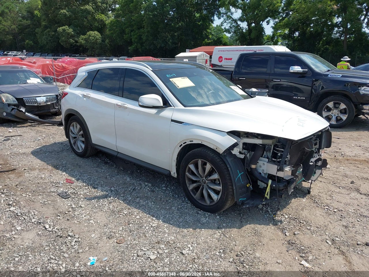 3PCAJ5M13KF****** · 2019 INFINITI QX50 LUXE