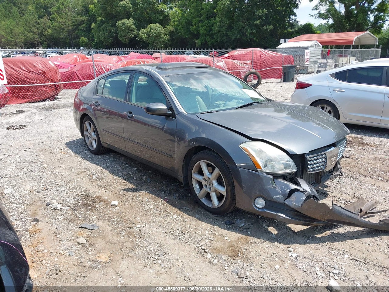 1N4BA41E25C****** · 2005 NISSAN MAXIMA 3.5 SE
