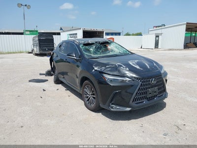 2024 LEXUS NX 250 PREMIUM