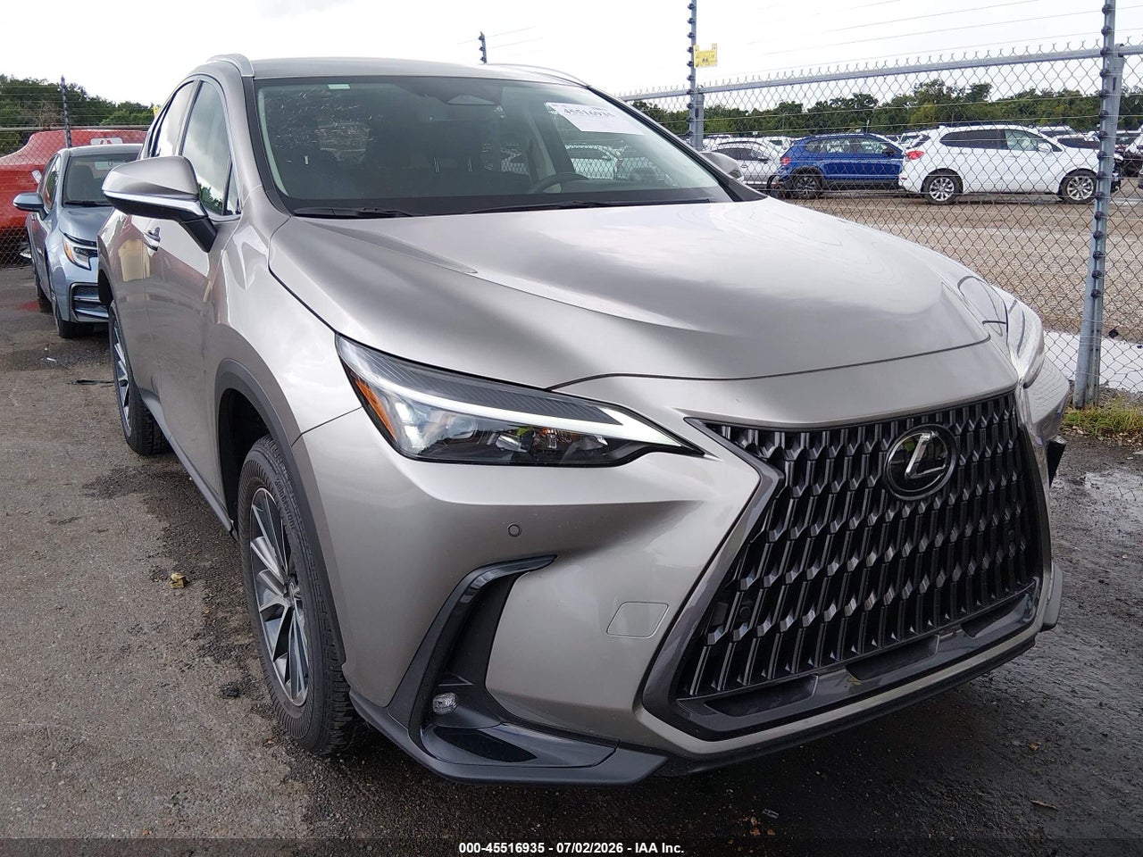 2026 LEXUS NX 350