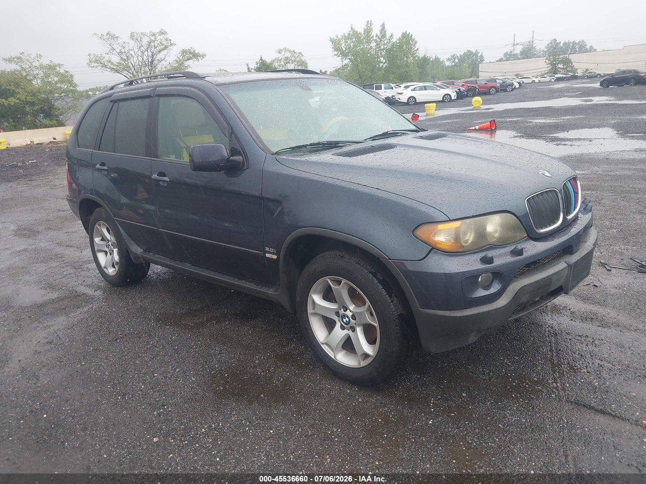 5UXFA13576L****** · 2006 BMW X5 3.0I