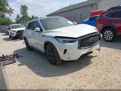 3PCAJ5M36KF****** · 2019 INFINITI QX50 ESSENTIAL