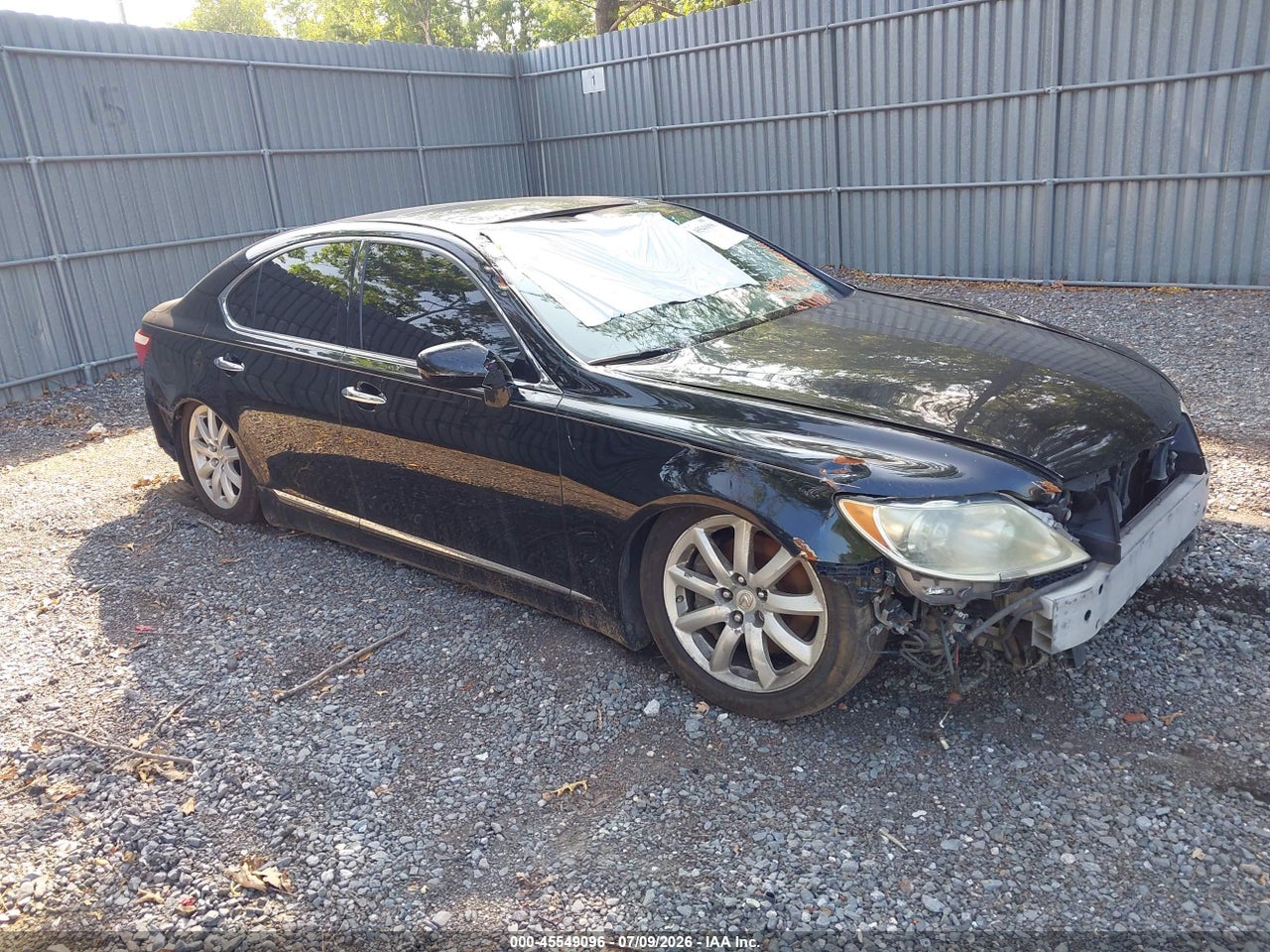 2009 LEXUS LS 460