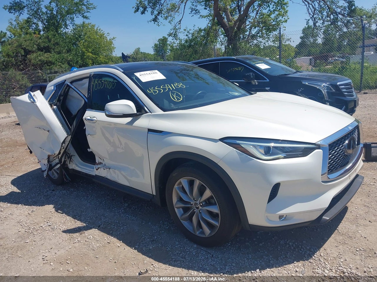 3PCAJ5M30KF****** · 2019 INFINITI QX50 LUXE