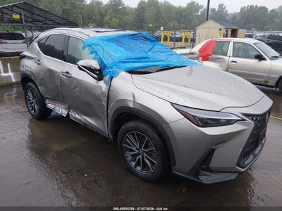 2025 LEXUS NX 350 PREMIUM