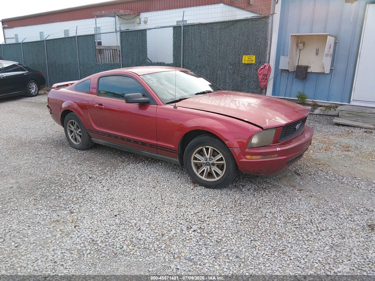 1ZVHT80N355****** · 2005 FORD MUSTANG V6 DELUXE/V6 PREMIUM