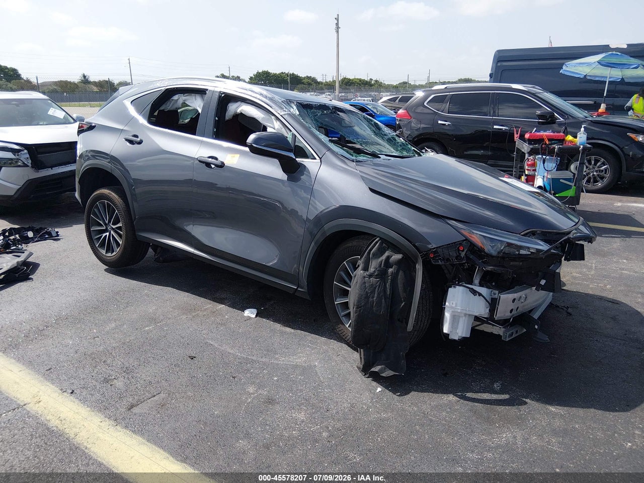 2025 LEXUS NX 250