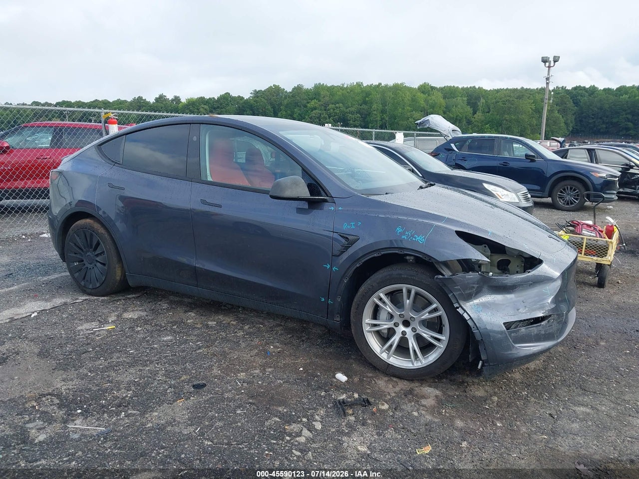 7SAYGDED3PF****** · 2023 TESLA MODEL Y RWD