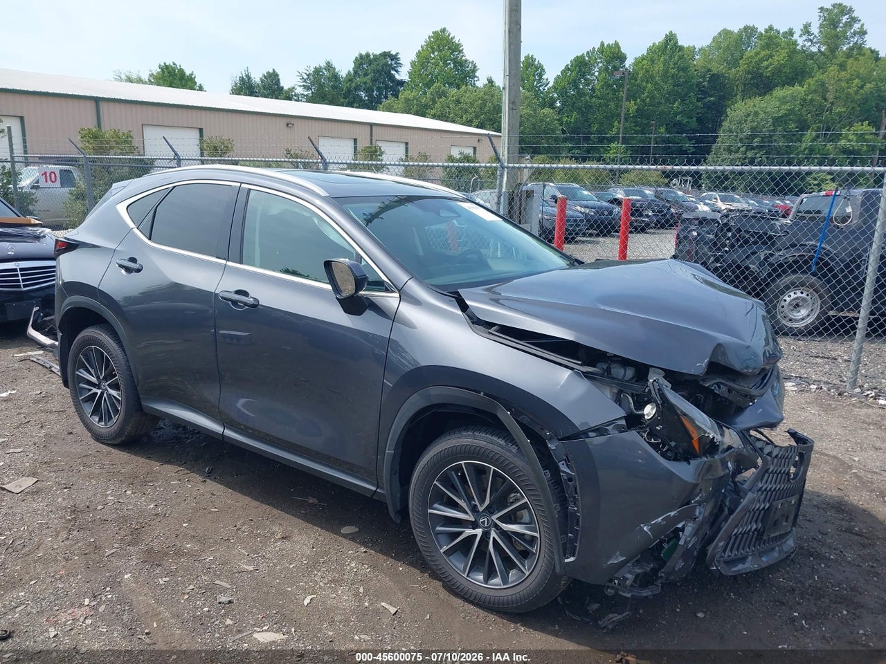 2025 LEXUS NX 350 PREMIUM