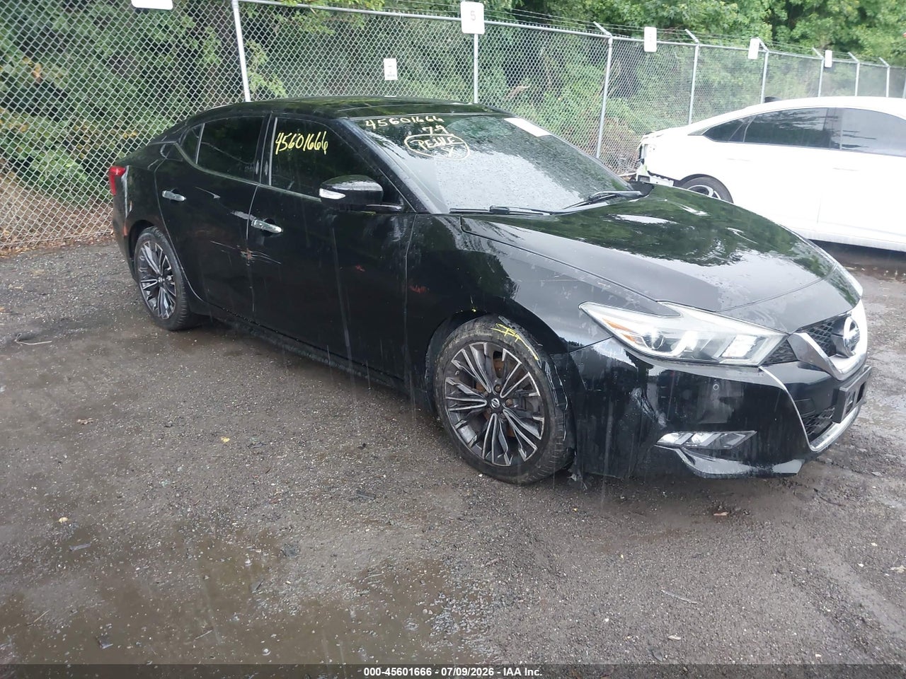 1N4AA6AP3GC****** · 2016 NISSAN MAXIMA 3.5 SL