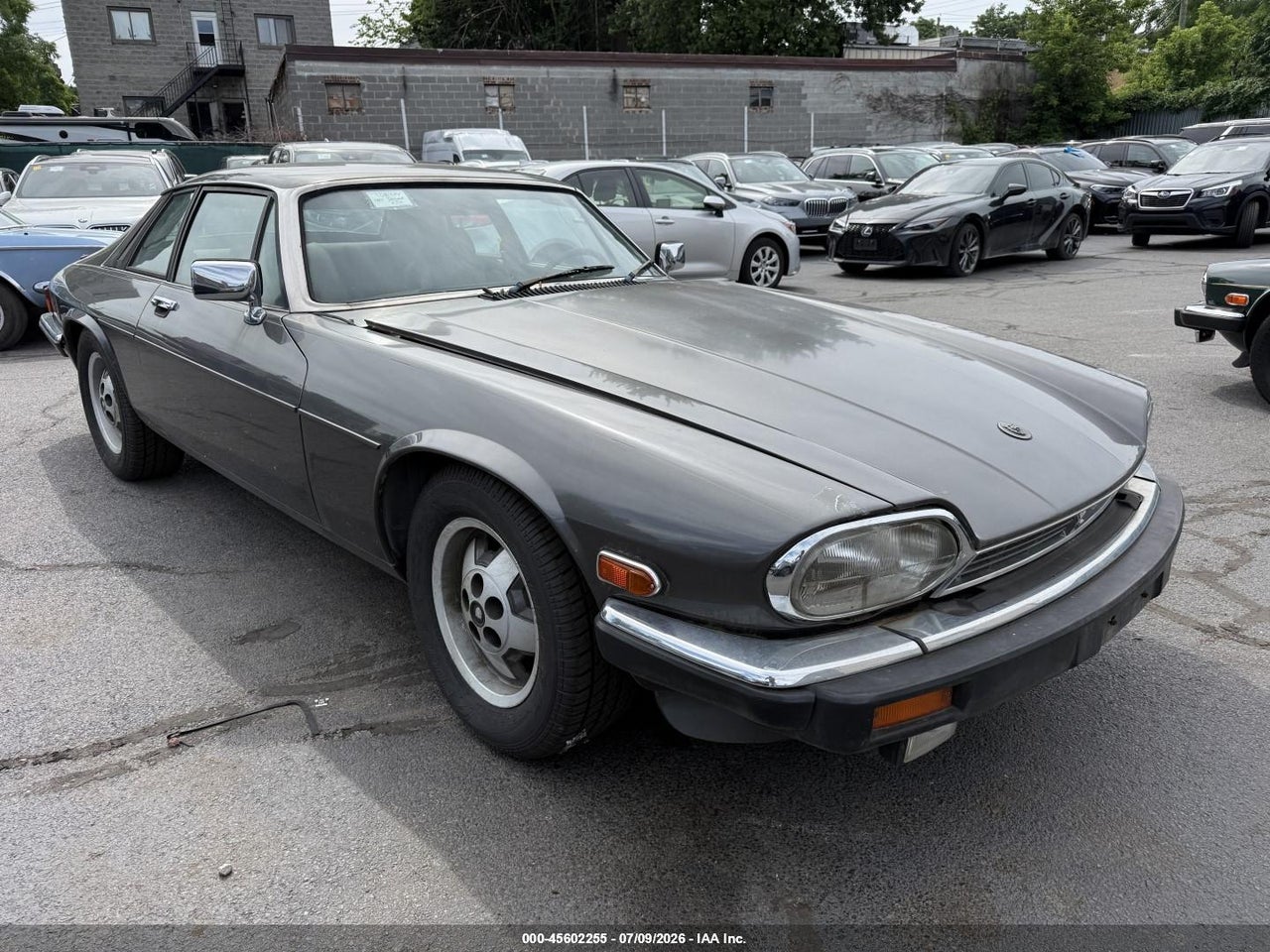 SAJNV5842FC****** · 1985 JAGUAR XJS