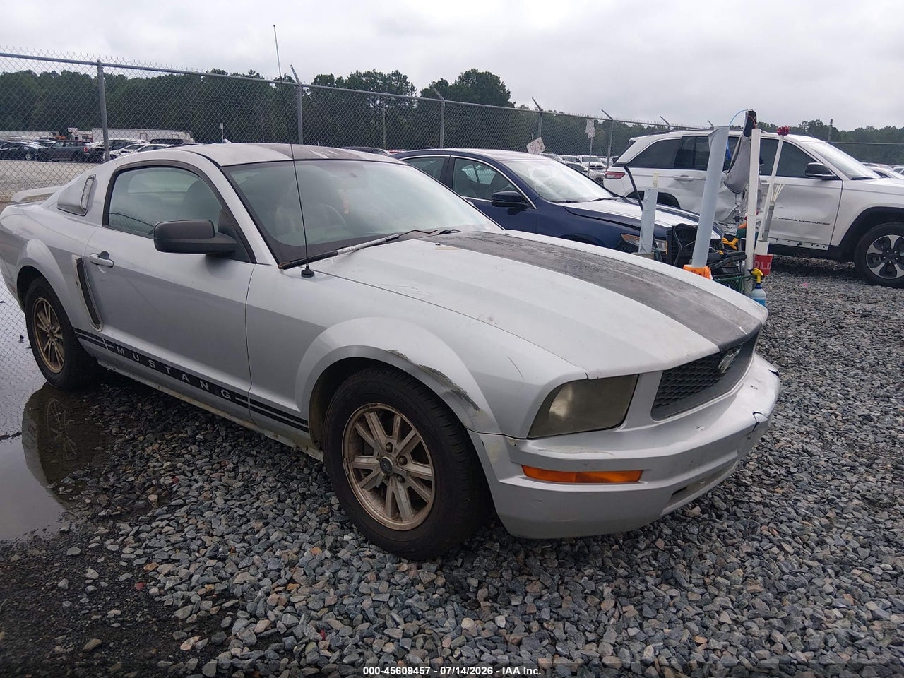 1ZVFT80N065****** · 2006 FORD MUSTANG V6