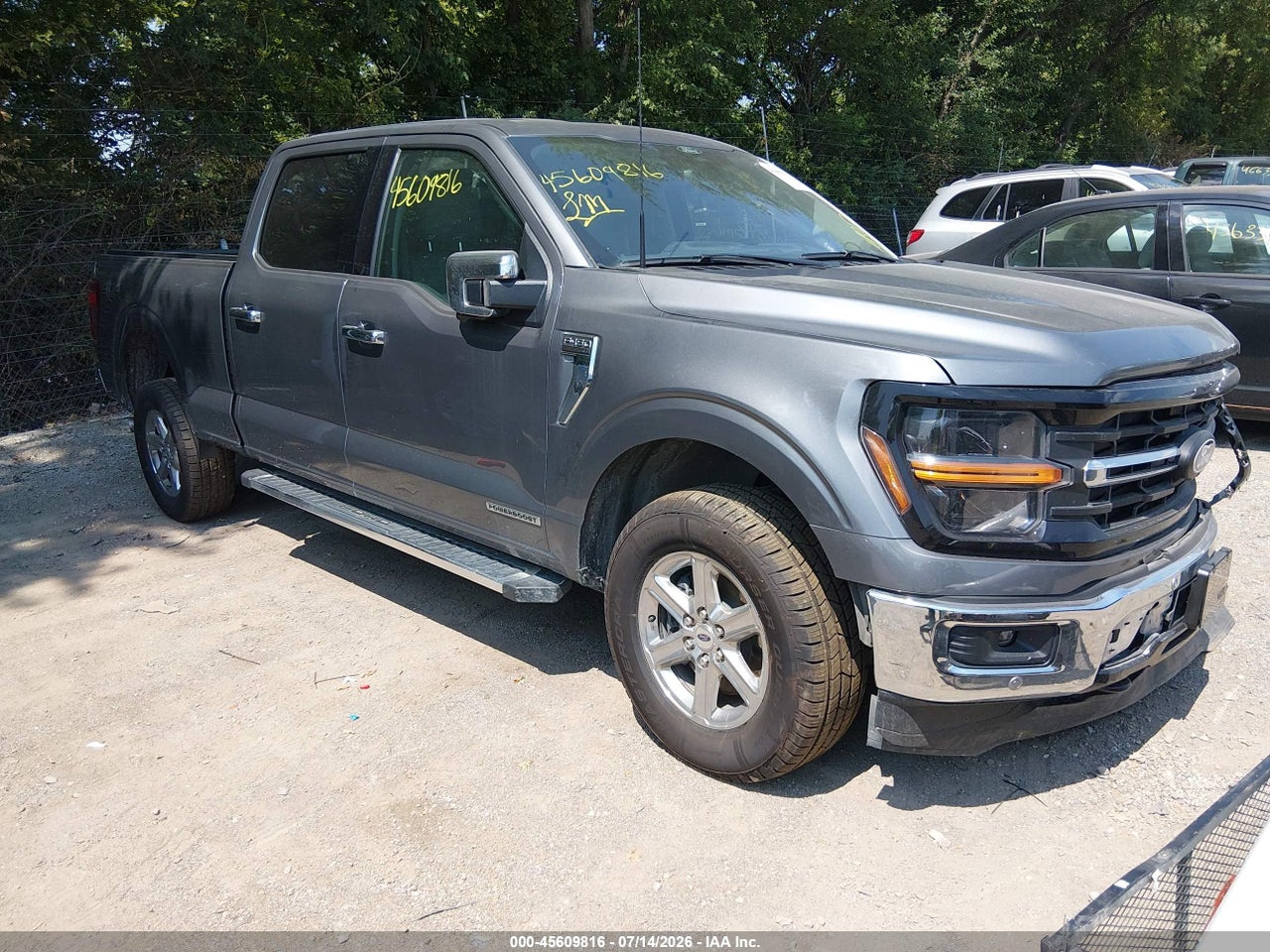 1FTFW3LD3RF****** · 2024 FORD F-150 XLT