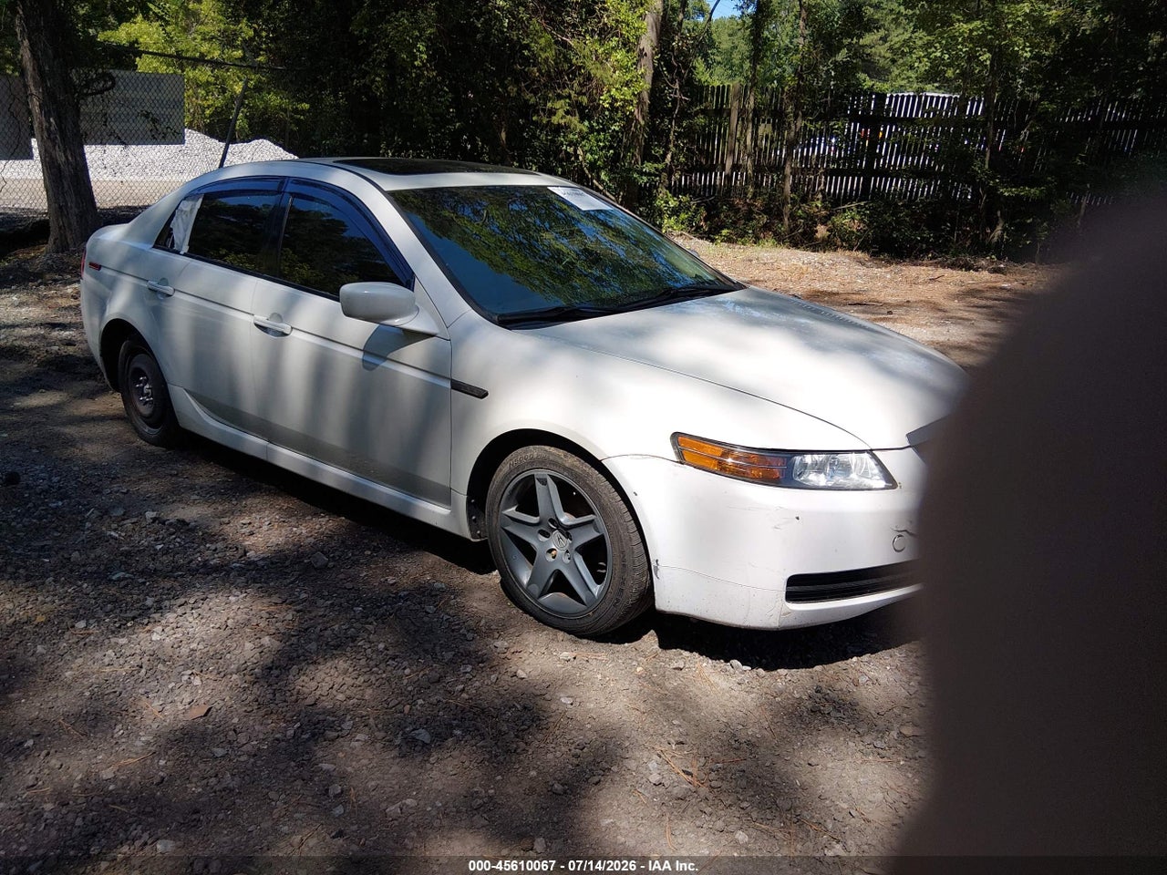 19UUA66256A****** · 2006 ACURA TL