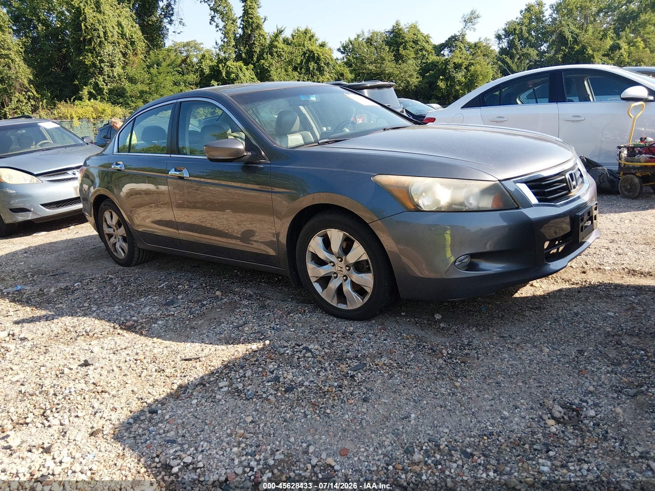 1HGCP3F8XAA****** · 2010 HONDA ACCORD 3.5 EX-L
