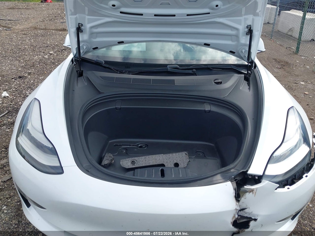 5YJ3E1EA1KF****** · 2019 TESLA MODEL 3 LONG RANGE/MID RANGE/STANDARD RANGE/STANDARD RANGE PLUS · 10/10