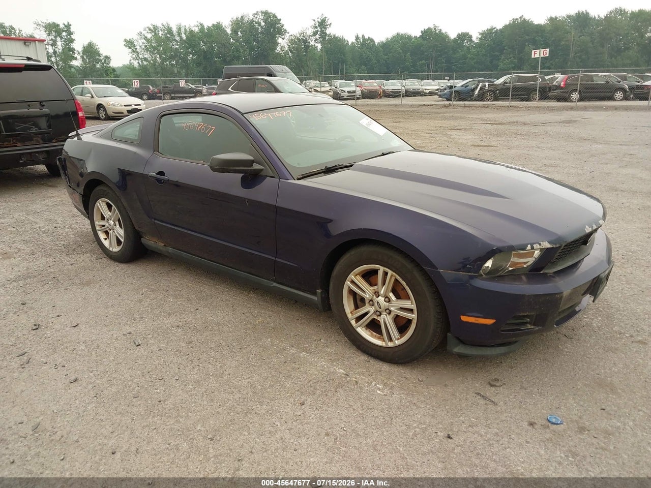 1ZVBP8AM6B5****** · 2011 FORD MUSTANG V6