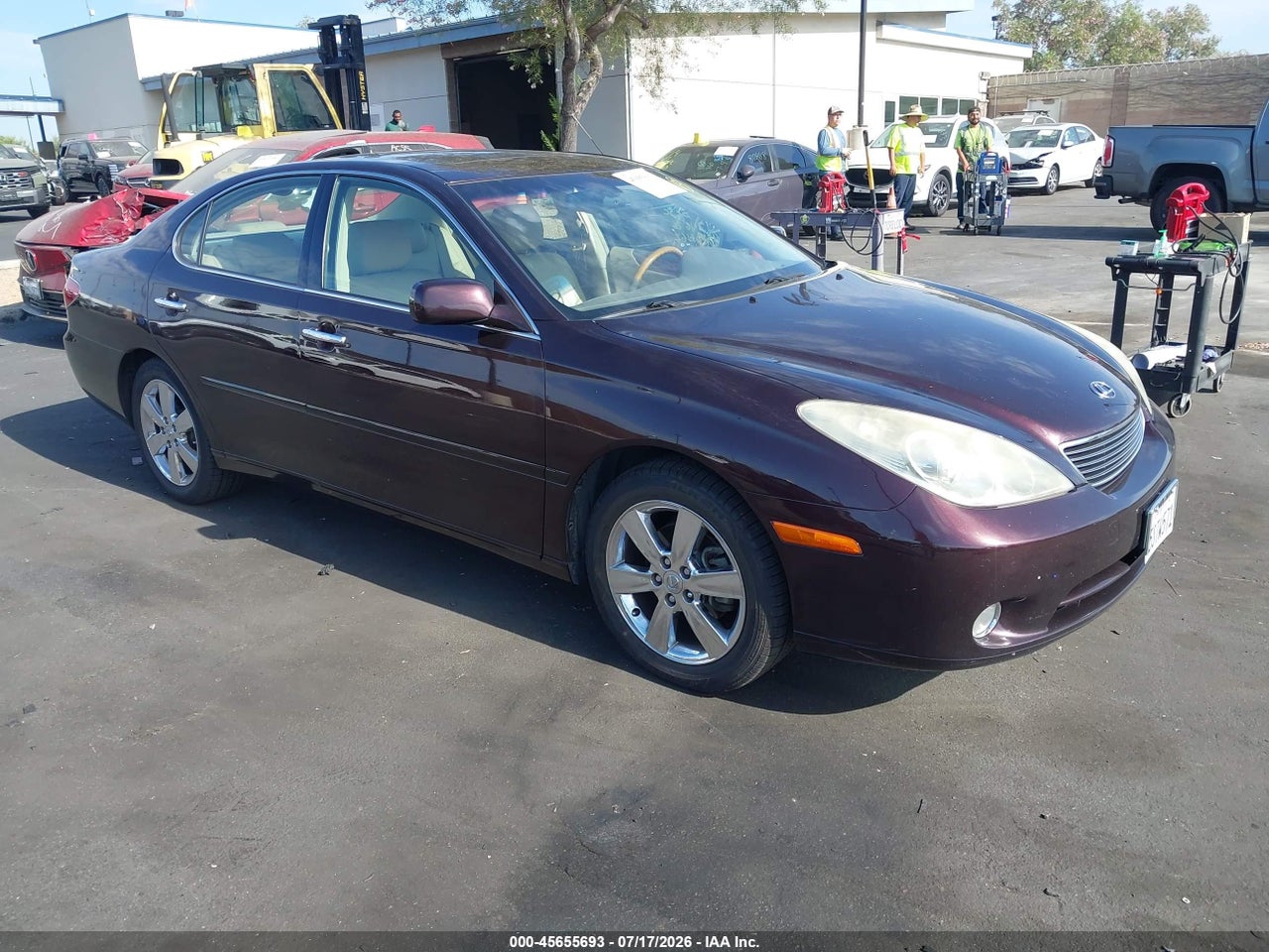 JTHBA30G065****** · 2006 LEXUS ES 330