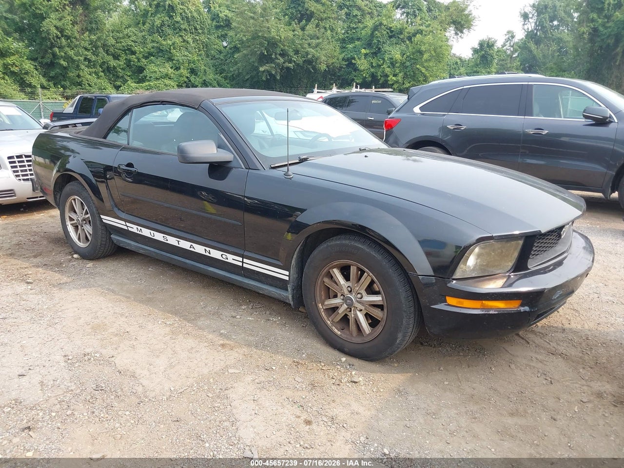 1ZVFT84N355****** · 2005 FORD MUSTANG
