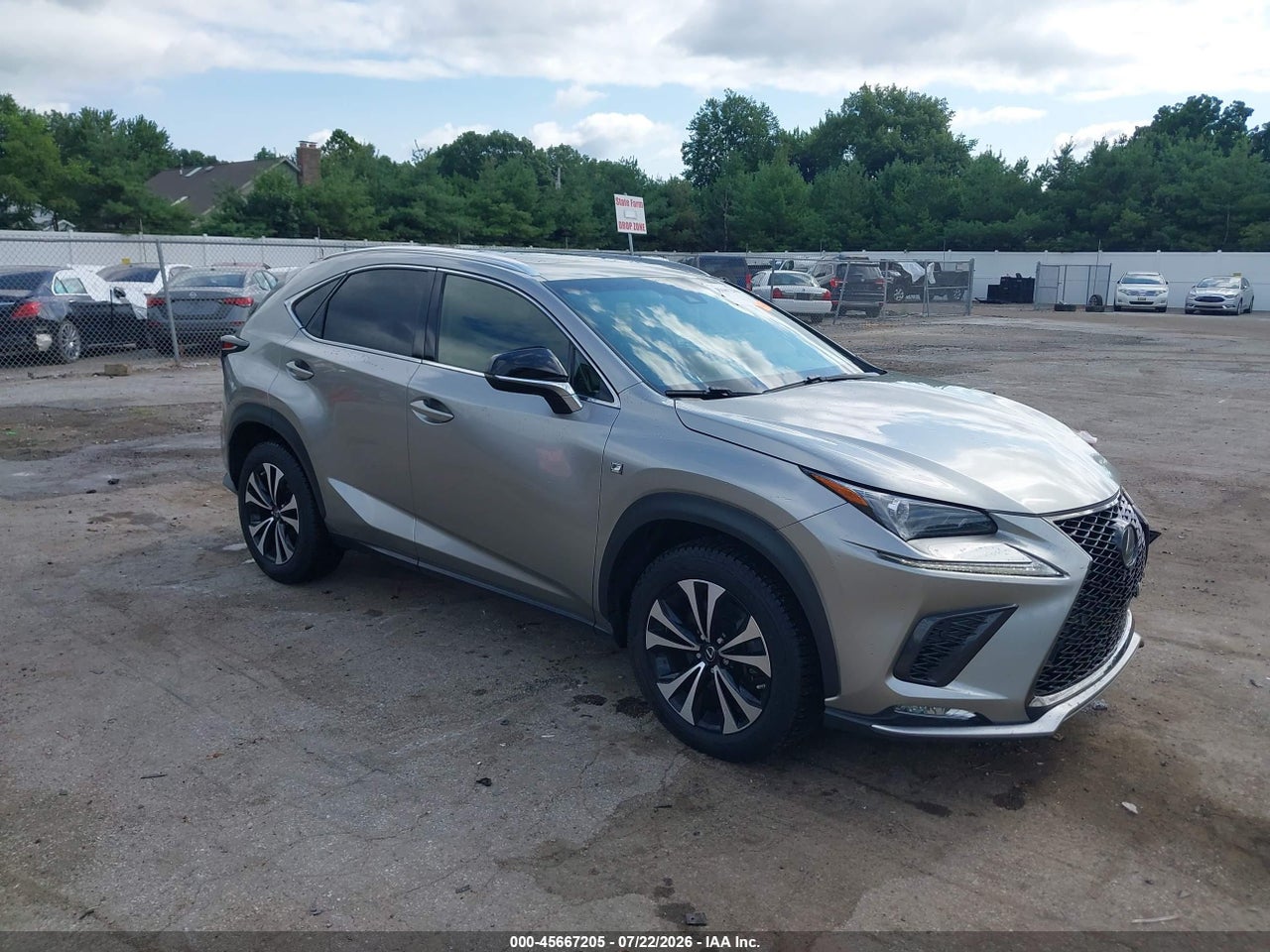 2019 LEXUS NX 300 F SPORT