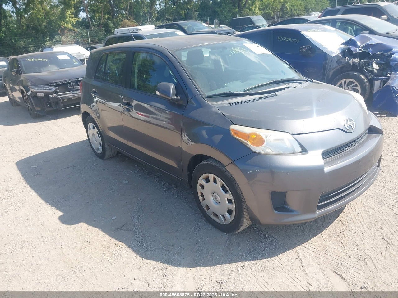 JTKKU104X8J****** · 2008 SCION XD