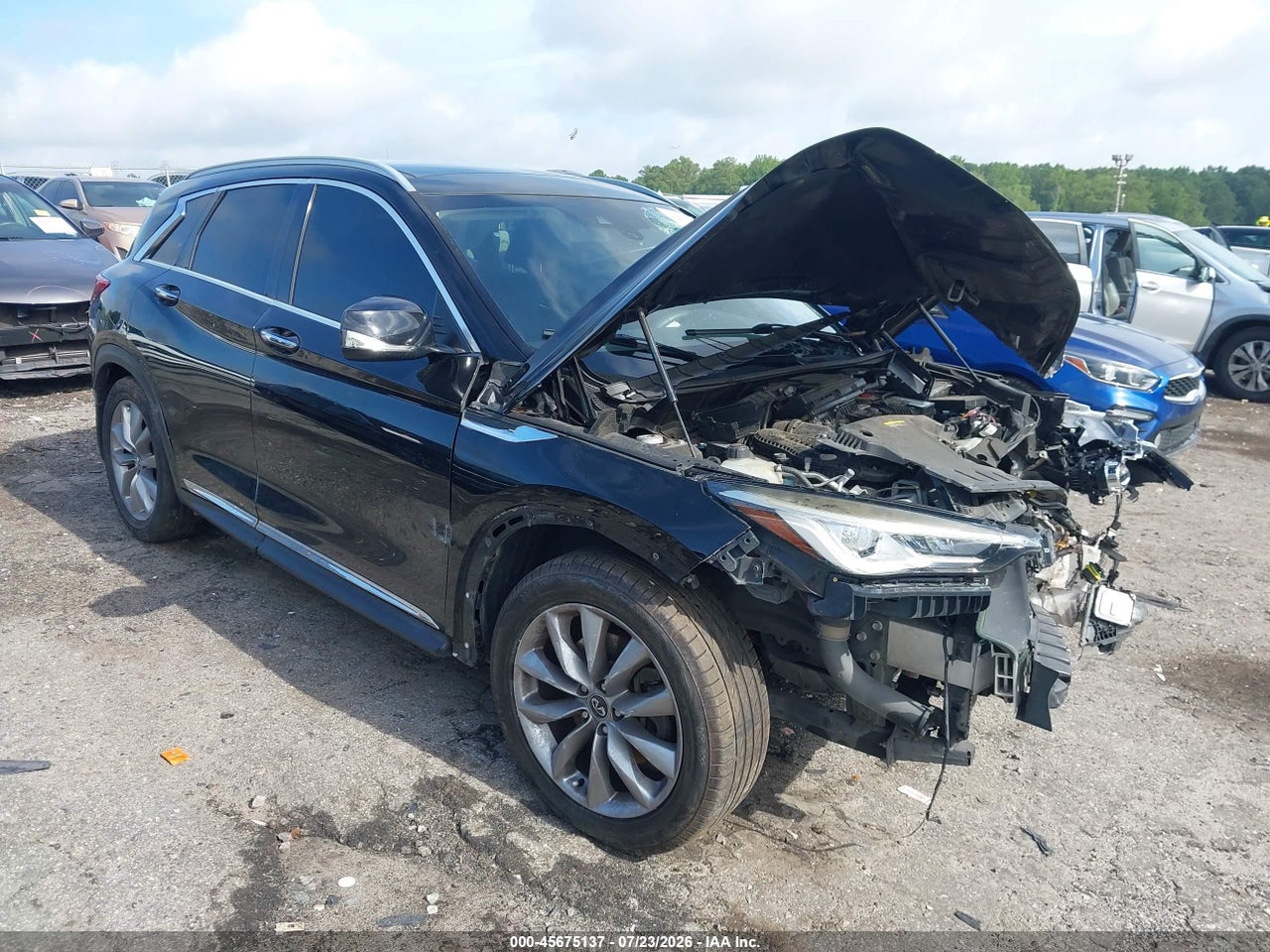 3PCAJ5M17KF****** · 2019 INFINITI QX50 LUXE