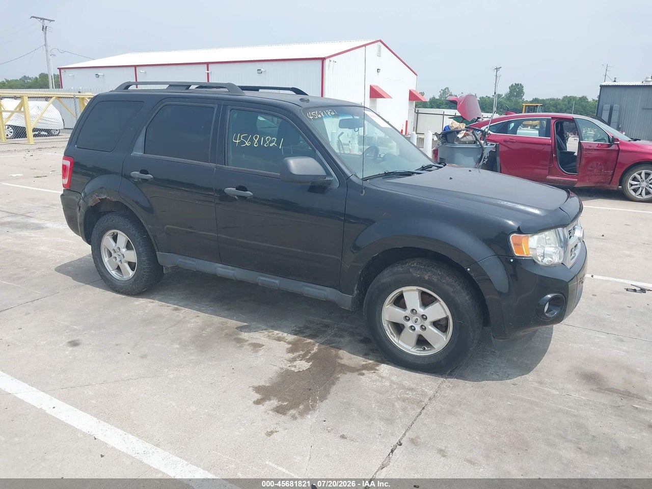 1FMCU9DG6BK****** · 2011 FORD ESCAPE XLT