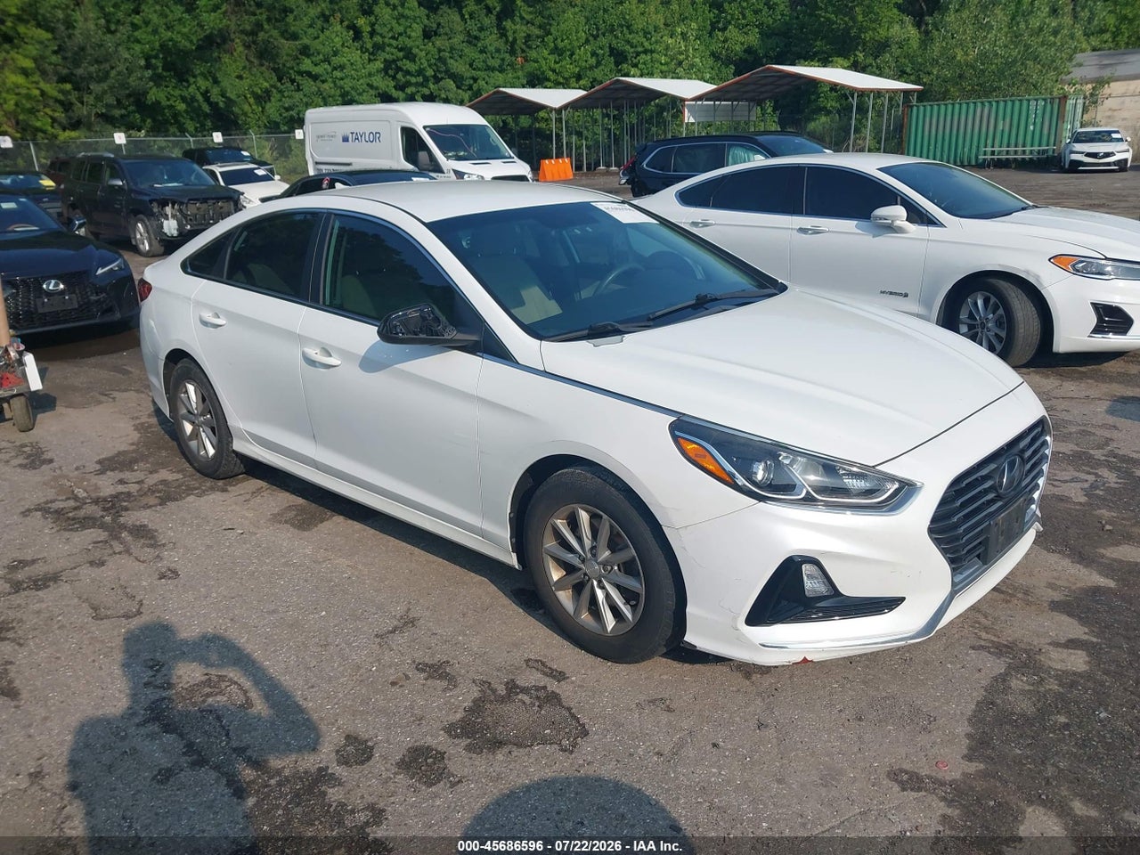 5NPE24AF3KH****** · 2019 HYUNDAI SONATA SE