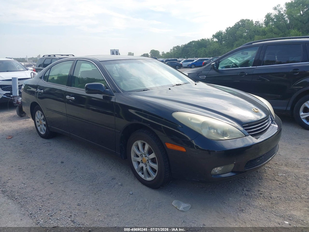 JTHBF30G136****** · 2003 LEXUS ES 300