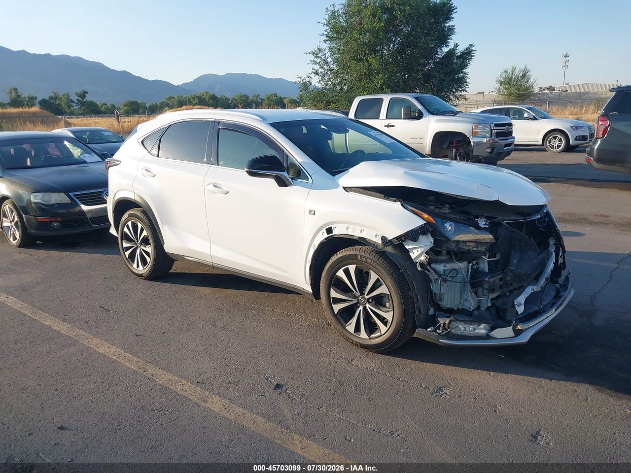 2019 LEXUS NX 300 F SPORT