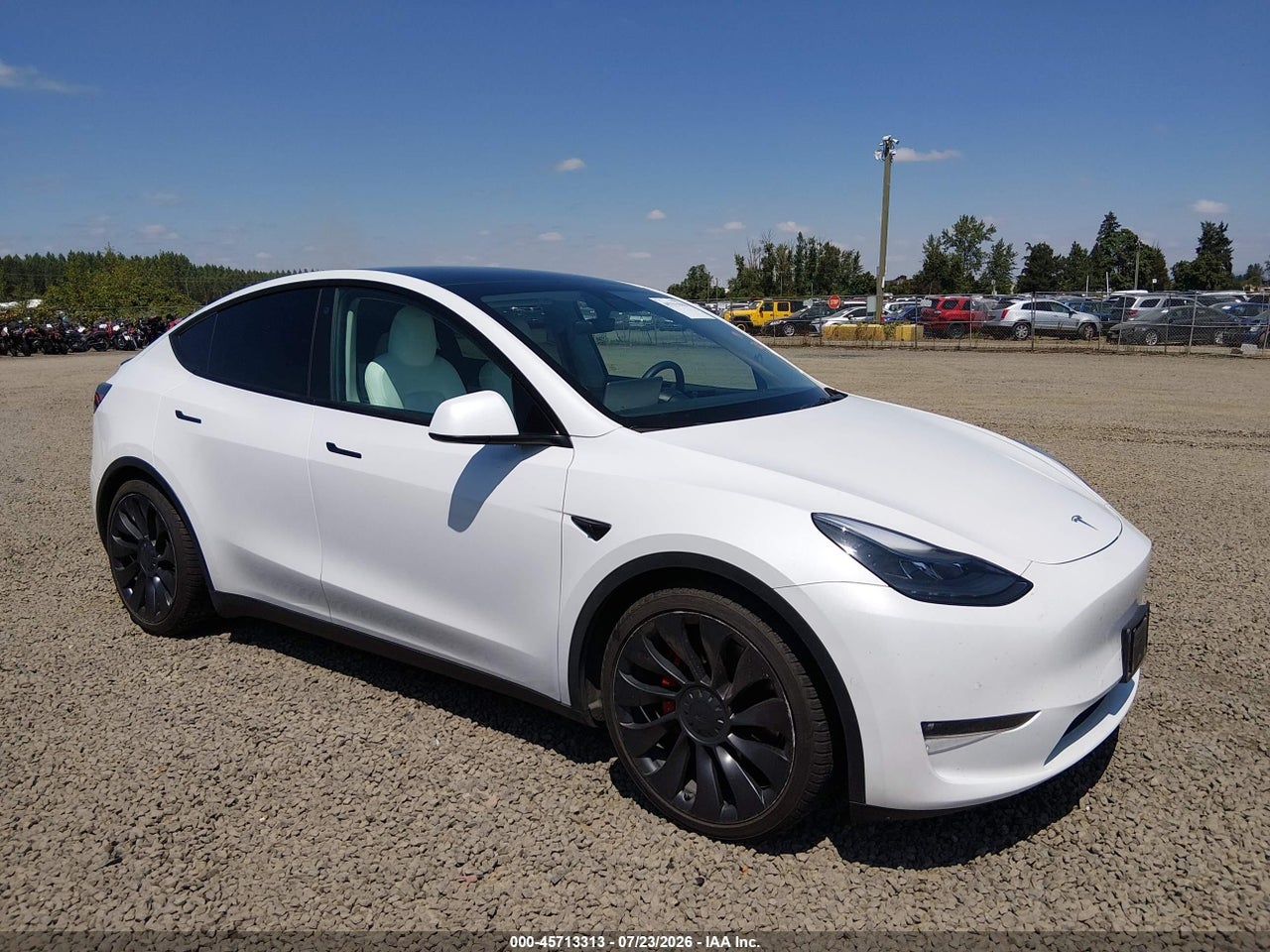 7SAYGDEF6NF****** · 2022 TESLA MODEL Y PERFORMANCE DUAL MOTOR ALL-WHEEL DRIVE