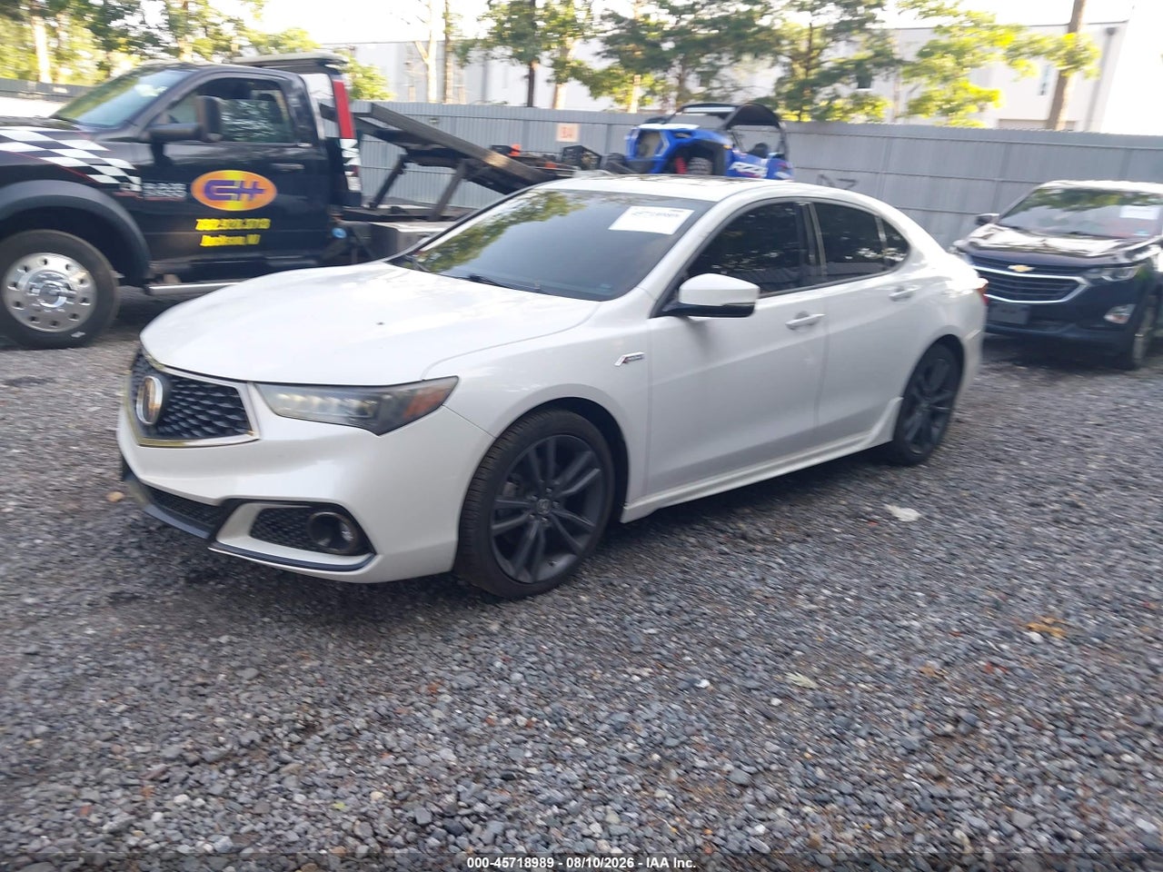 2019 ACURA TLX TECH   A-SPEC PKGS · 2/11