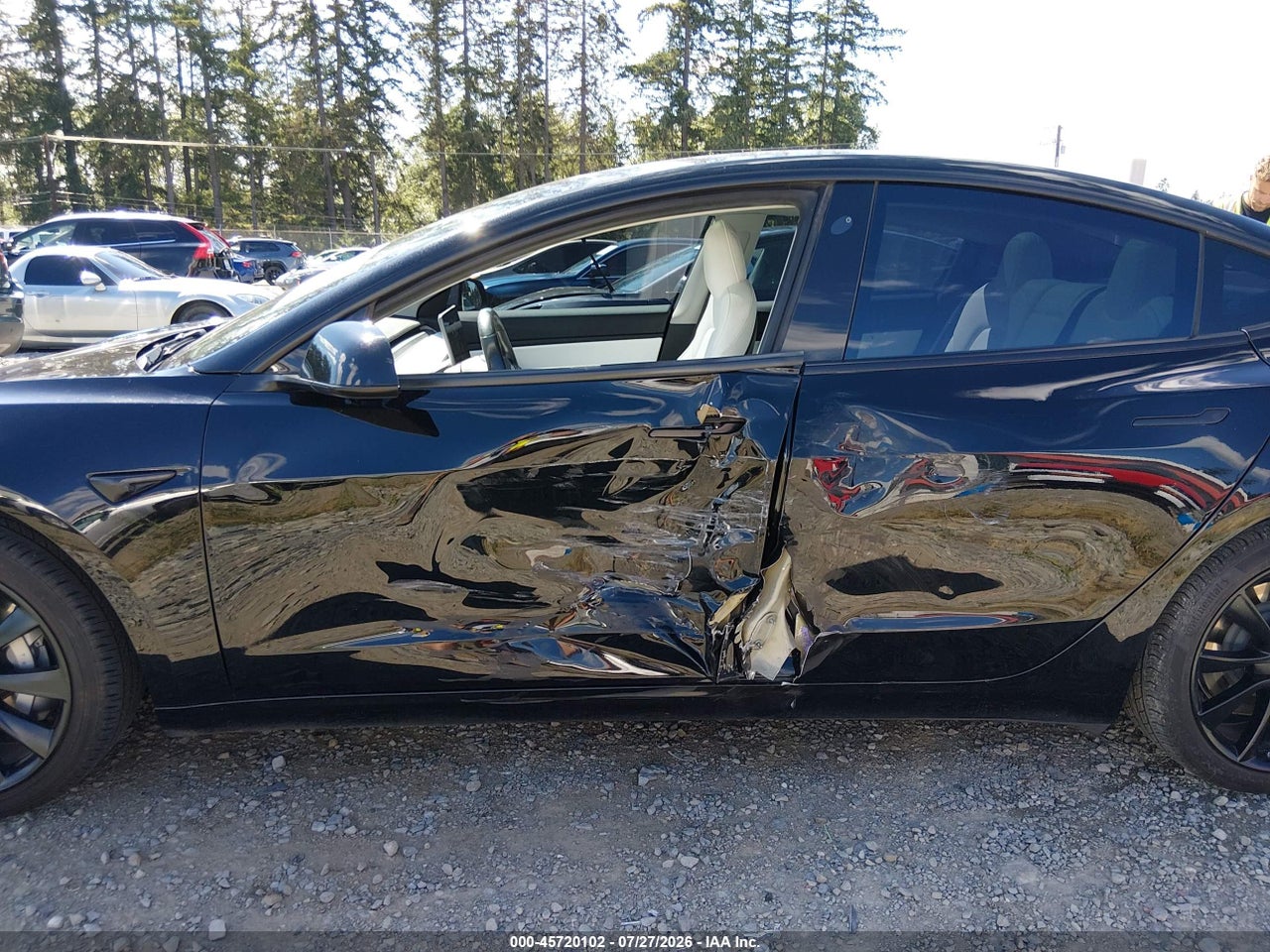 5YJ3E1EA7KF****** · 2019 TESLA MODEL 3 LONG RANGE/MID RANGE/STANDARD RANGE/STANDARD RANGE PLUS · 6/11
