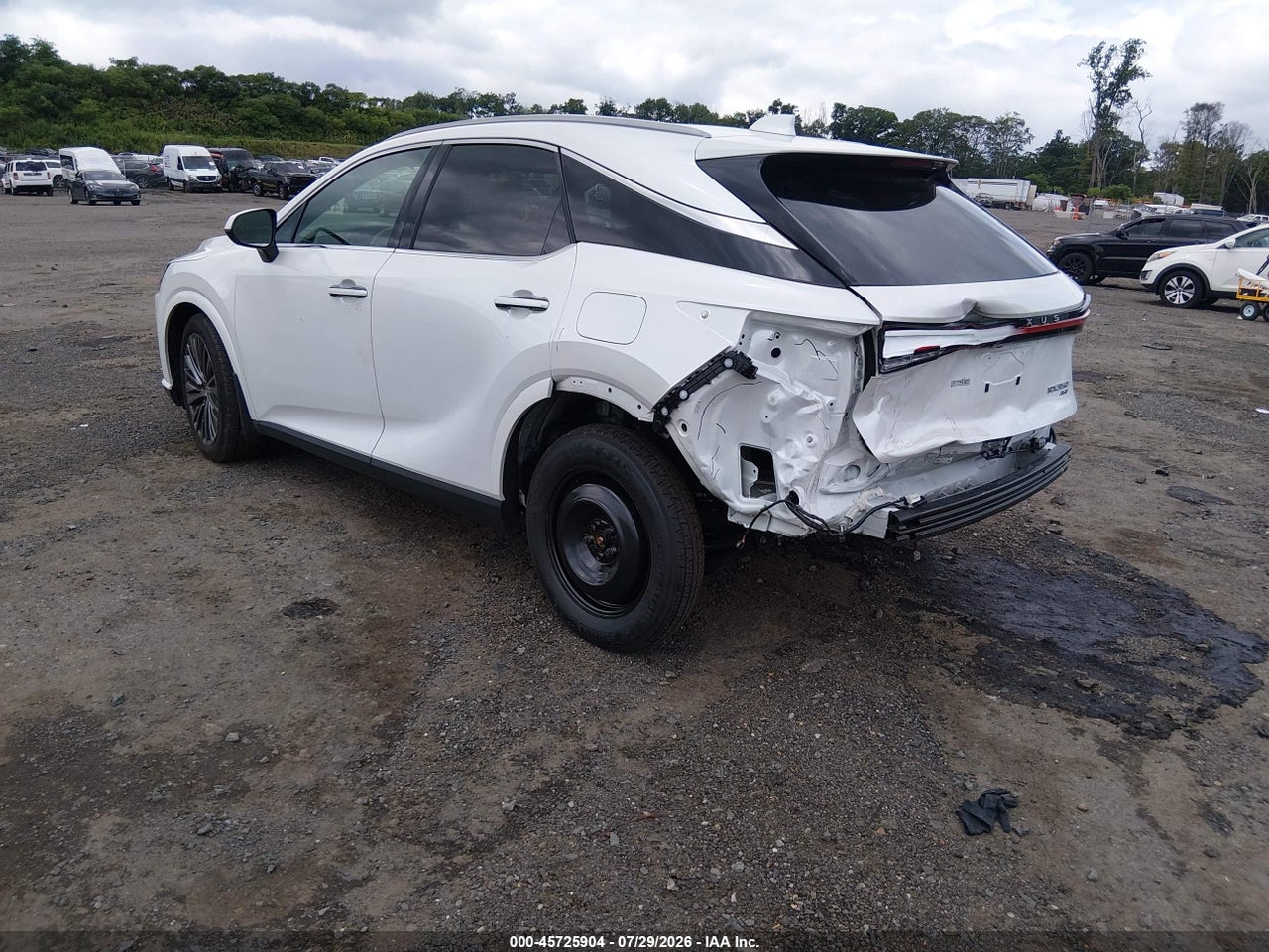 2T2BAMCA9SC****** · 2025 LEXUS RX 350 LUXURY · 3/11