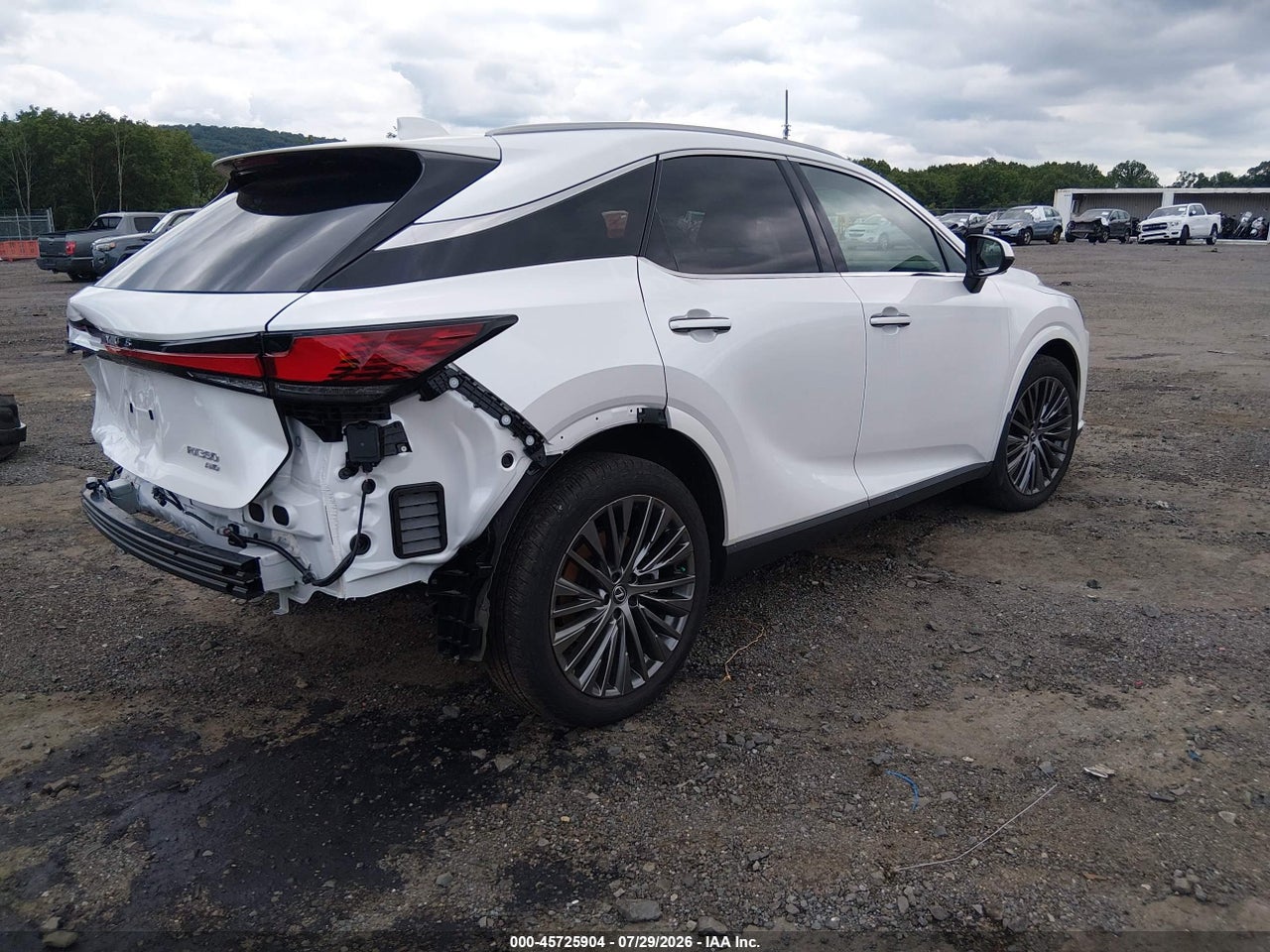 2T2BAMCA9SC****** · 2025 LEXUS RX 350 LUXURY · 4/11