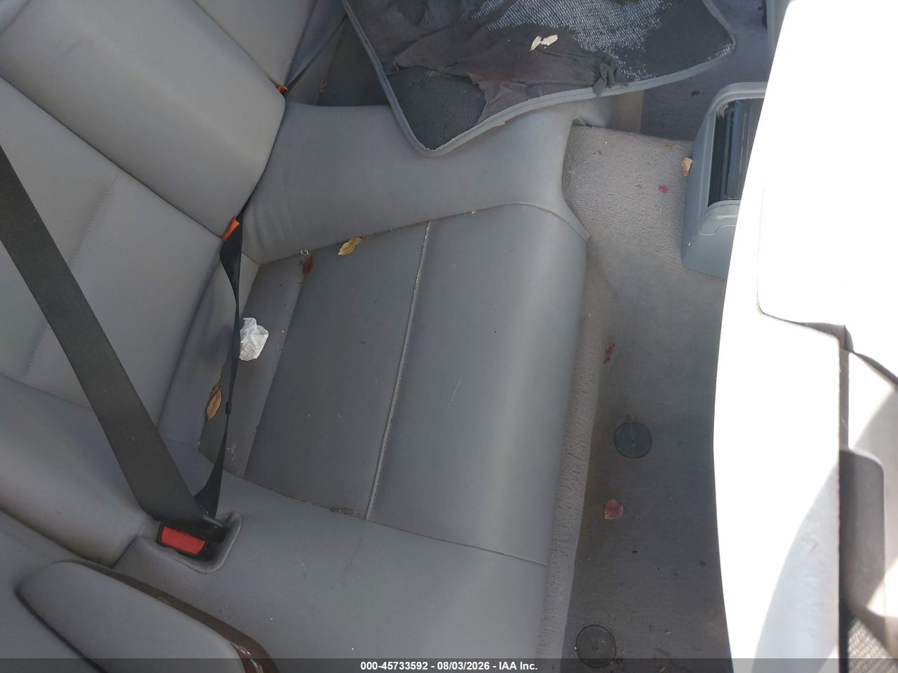 WBABW53424P****** · 2004 BMW 330CI   · 8/11