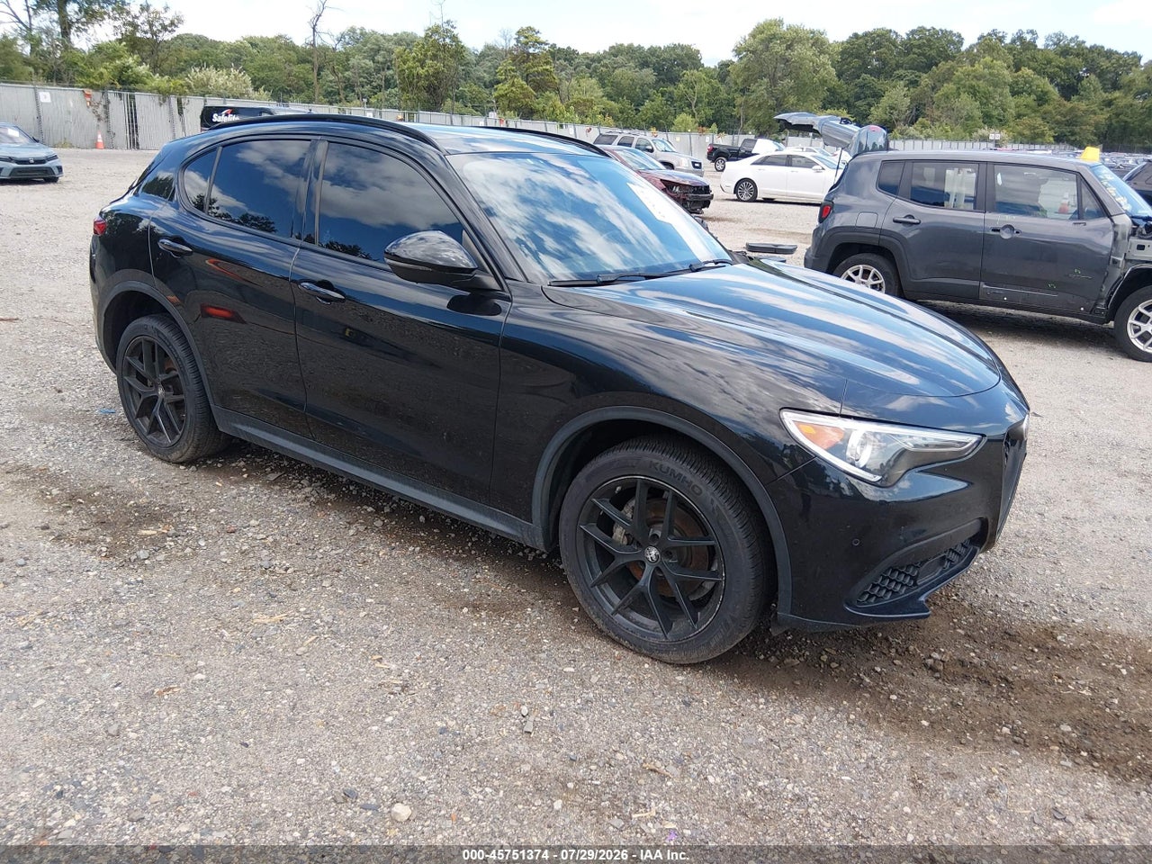 ZASPAKBN3K7****** · 2019 ALFA ROMEO STELVIO TI AWD