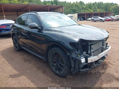 ZASPAKBN3K7****** · 2019 ALFA ROMEO STELVIO TI SPORT AWD