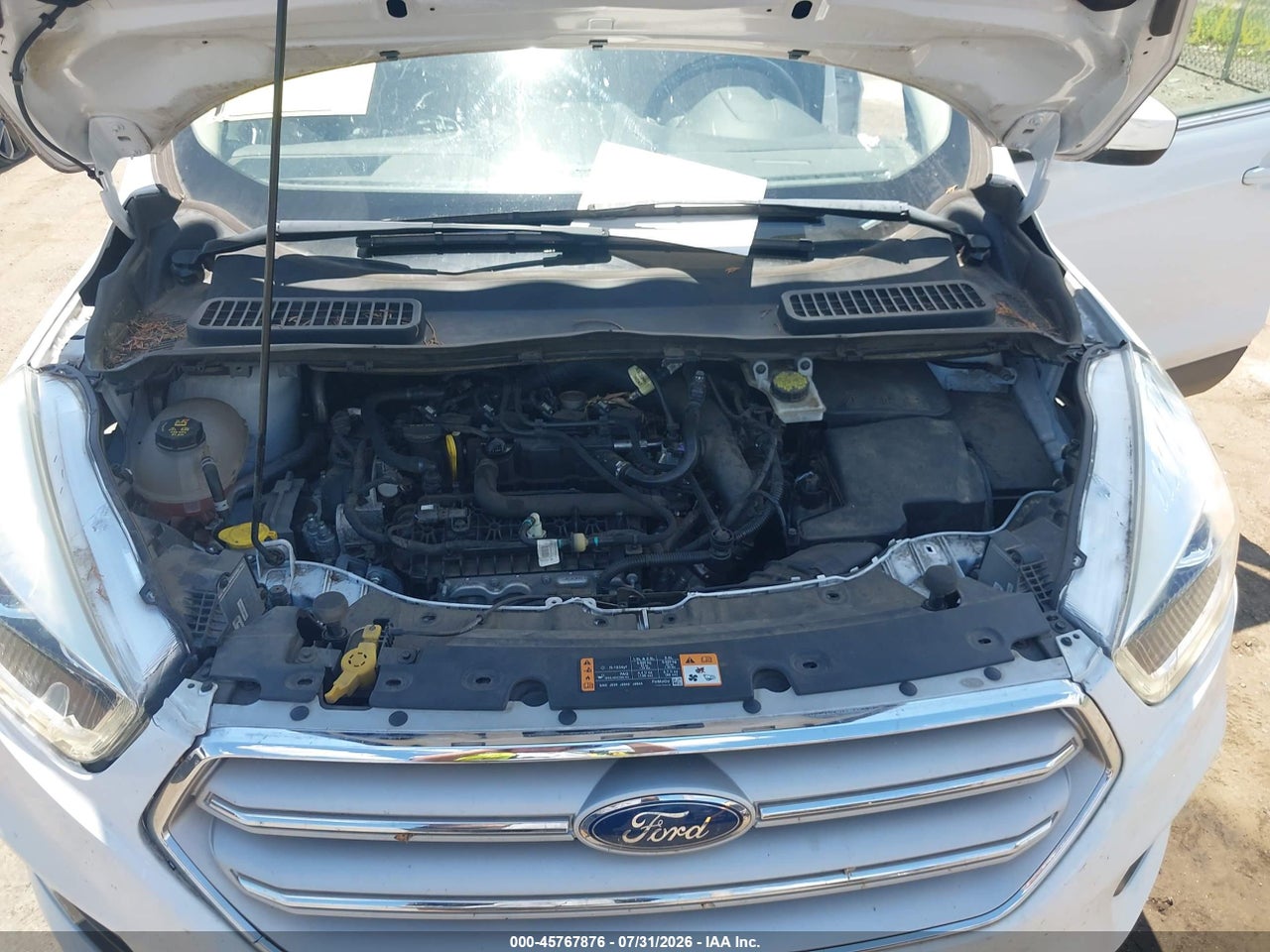 1FMCU9HD7KU****** · 2019 FORD ESCAPE SEL · 10/11