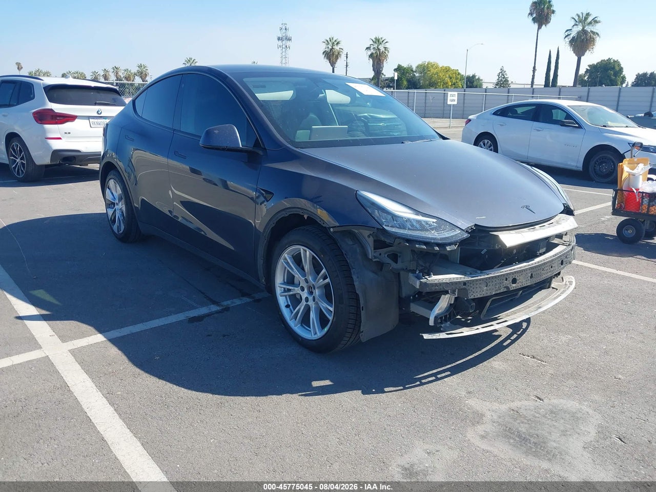 5YJYGDEF1LF****** · 2020 TESLA MODEL Y LONG RANGE DUAL MOTOR ALL-WHEEL DRIVE/PERFORMANCE DUAL MOTOR ALL-WHEEL DRIVE